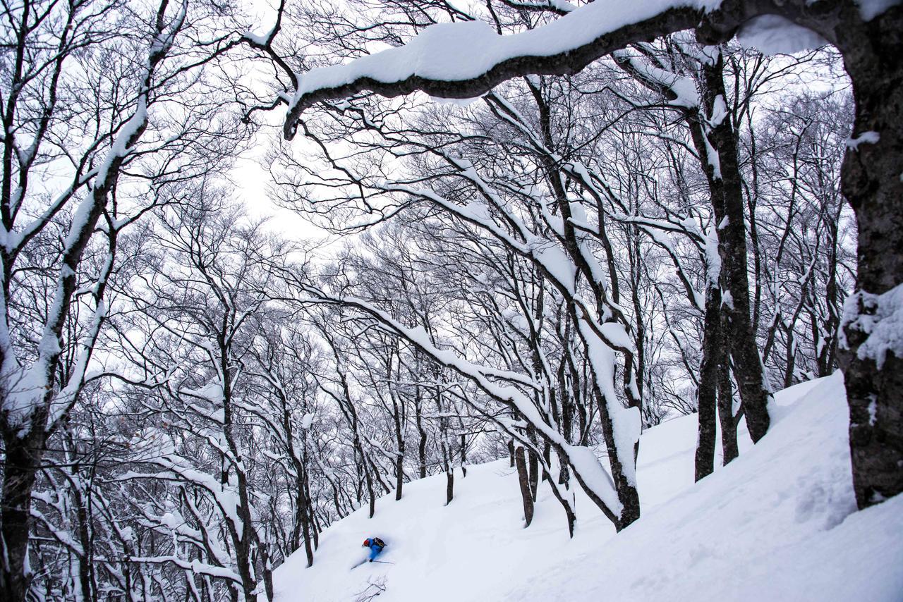 Morino Lodge - Myoko Ngoại thất bức ảnh